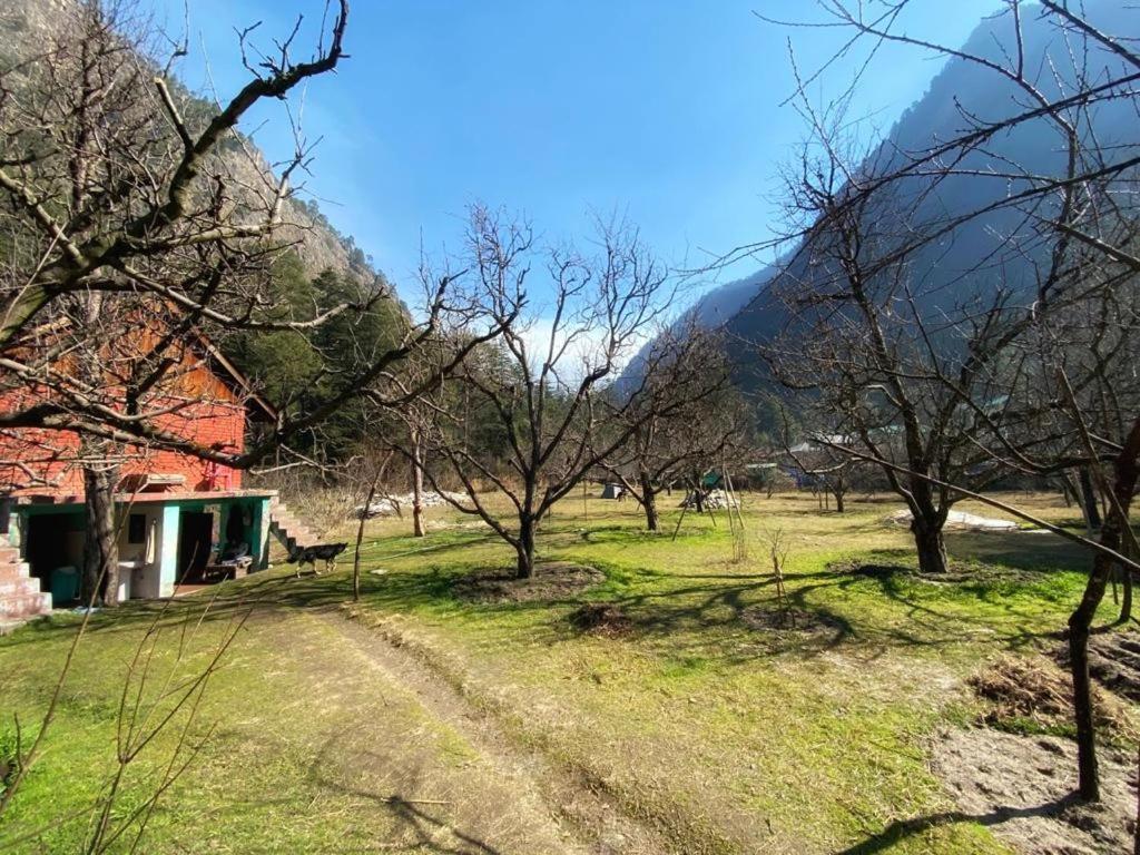 The Royal Orchard Kasol Hotel Exterior photo