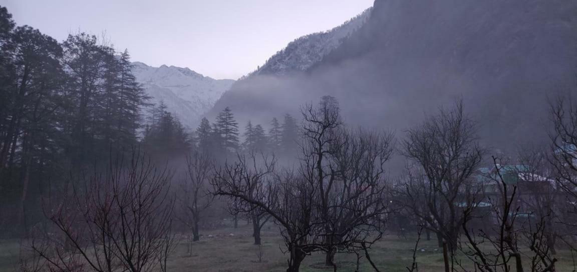 The Royal Orchard Kasol Hotel Exterior photo