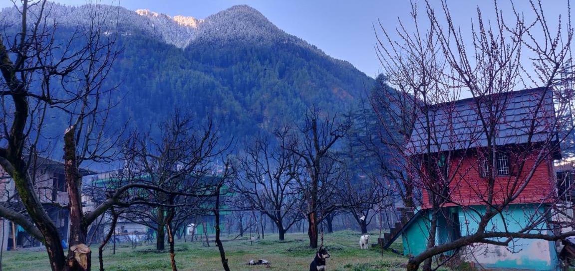 The Royal Orchard Kasol Hotel Exterior photo